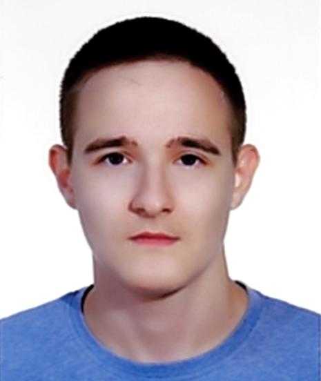 Сытый А.И. Сытый А.И.